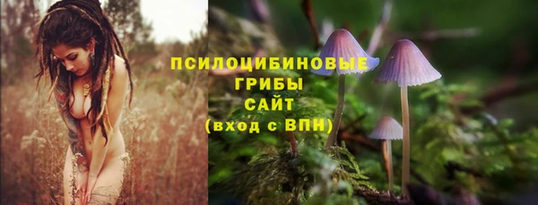 2c-b Медвежьегорск