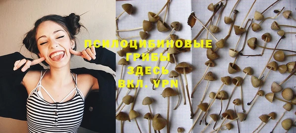 герыч Медногорск