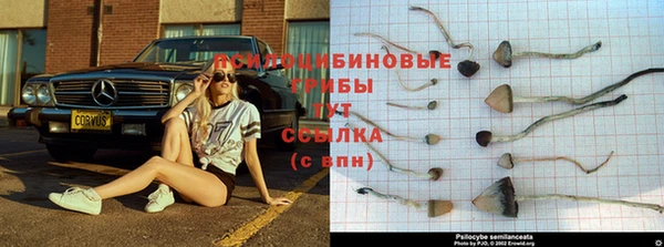 мескалин Мегион
