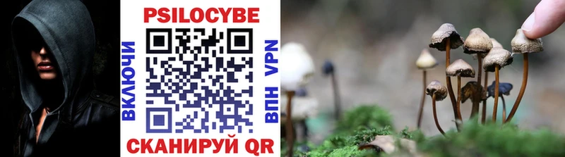 Галлюциногенные грибы Cubensis  Болхов 